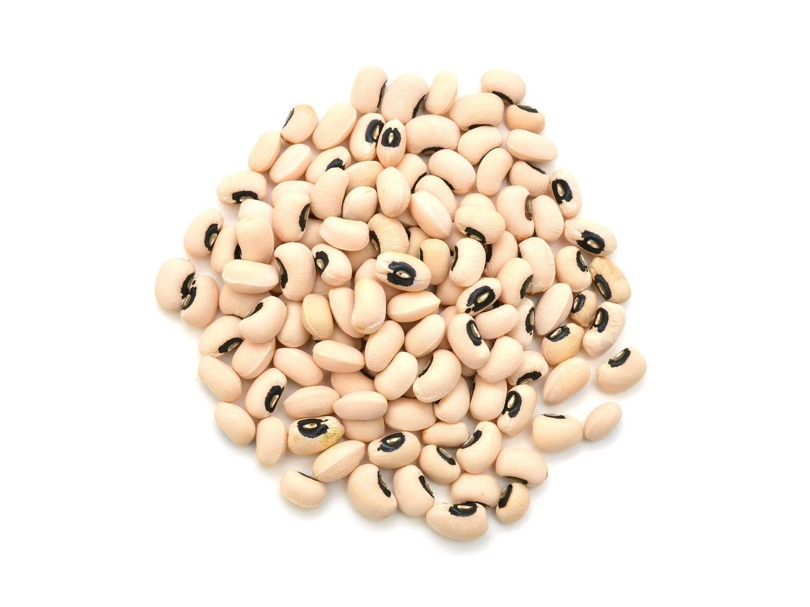 Cowpea