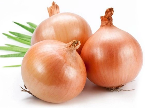 Onion
